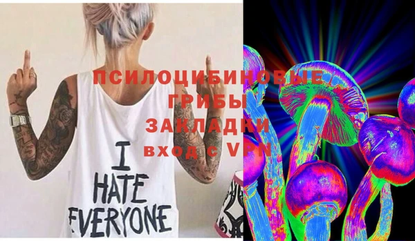 винт Аркадак
