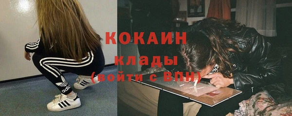 ГАЛЛЮЦИНОГЕННЫЕ ГРИБЫ Балахна