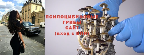 молекула духа Баксан