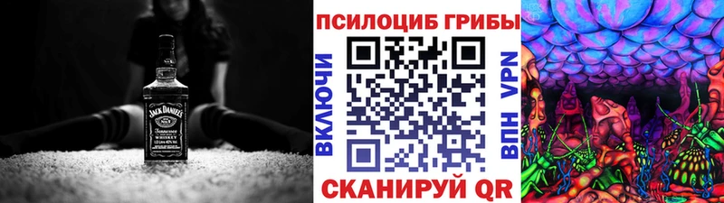 Псилоцибиновые грибы Psilocybine cubensis  Сортавала 